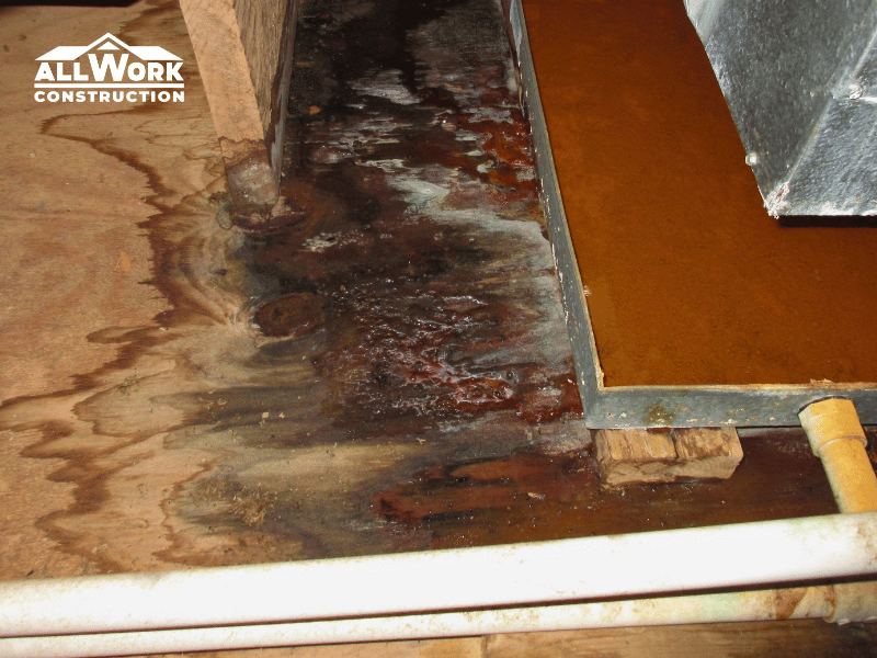 Water-damaged subfloor discovered during a bathroom remodel