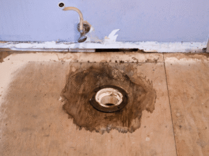 Hidden subfloor damage discovered during a bathroom renovation